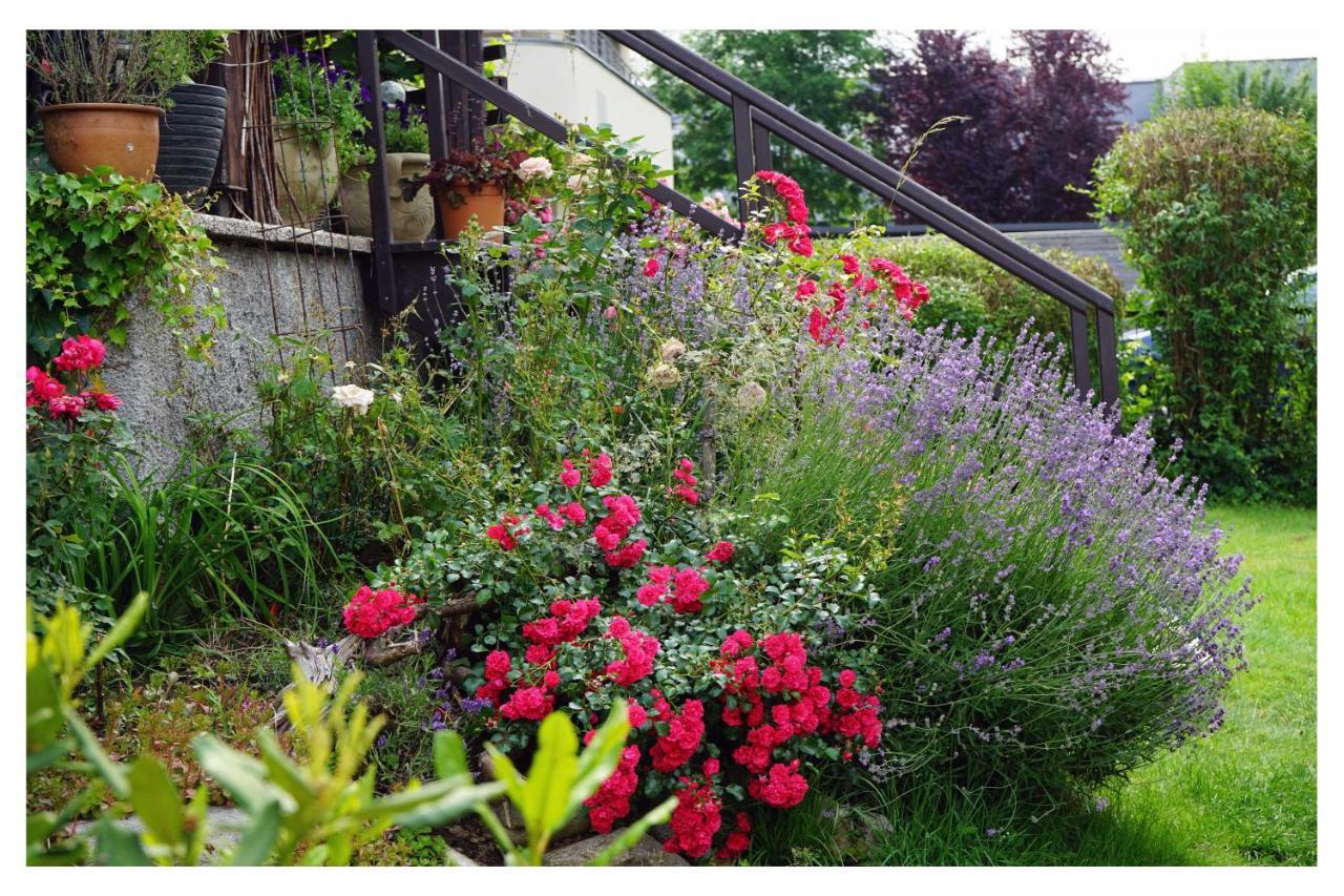 Ingrid'S Guesthouse Spittal Spittal an der Drau Exterior foto