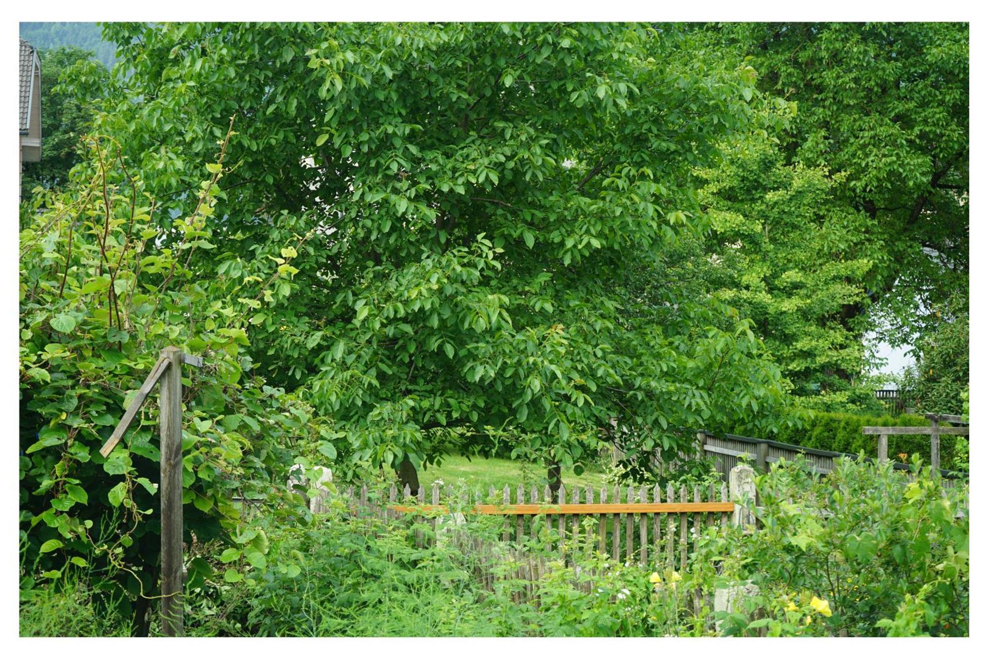 Ingrid'S Guesthouse Spittal Spittal an der Drau Exterior foto